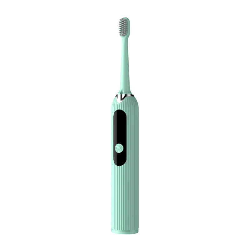 Portable Oral Cleaning Tool